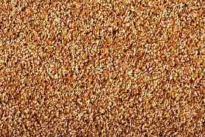 Ковролин Condor Minotti Minotti 915004 фото  | FLOORDEALER